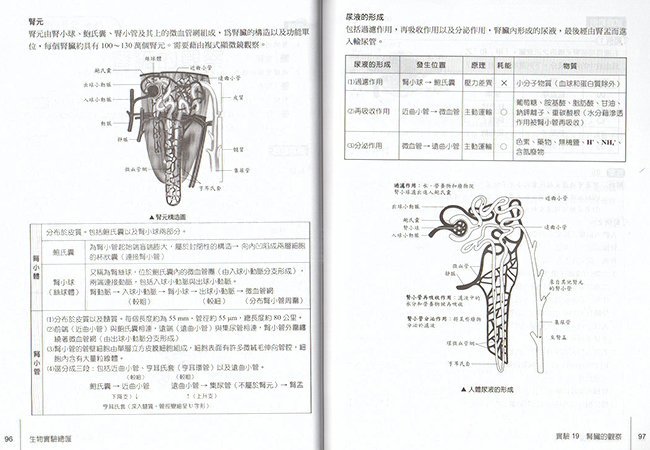 生物,總複習